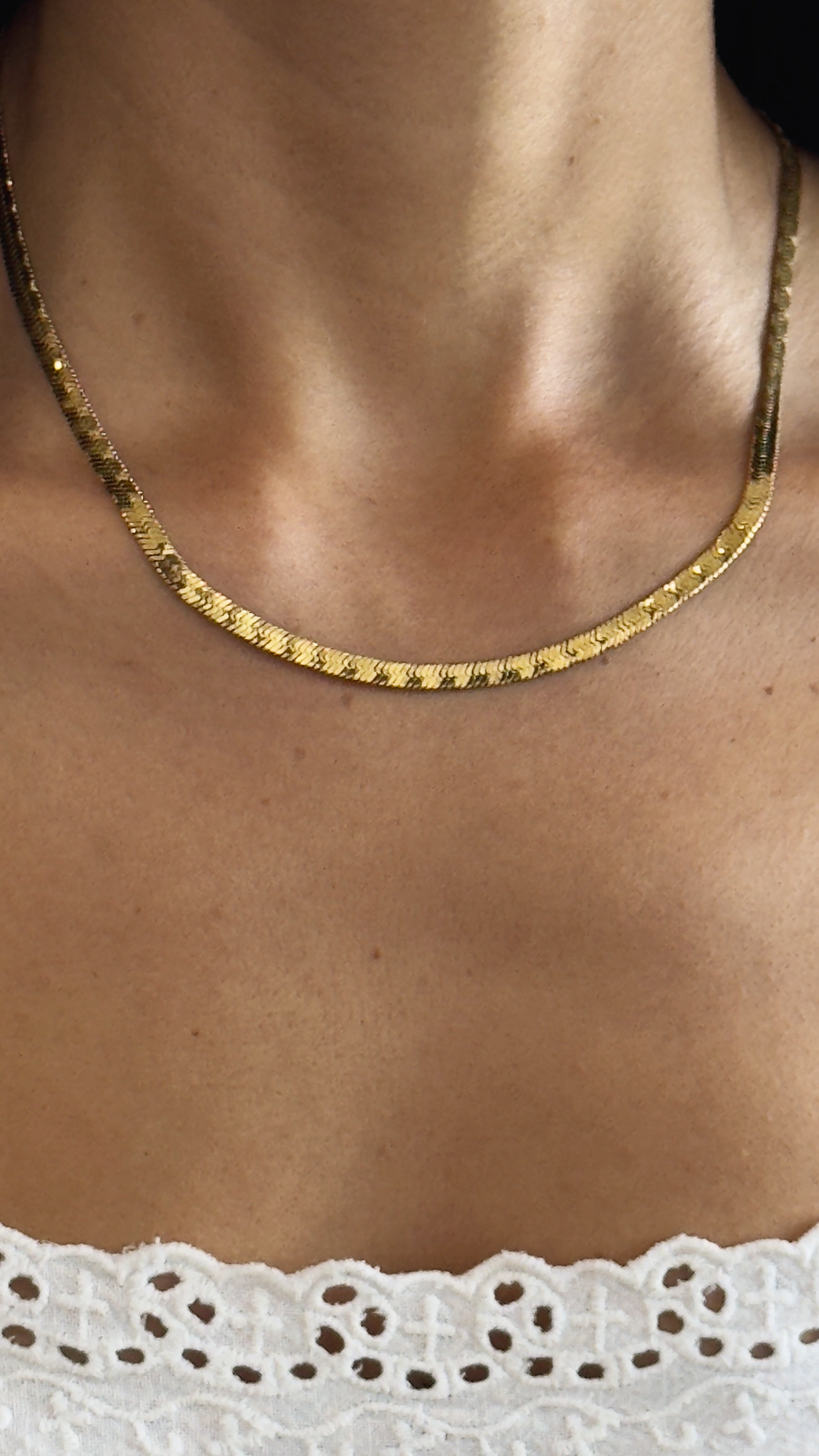 Dana Chain